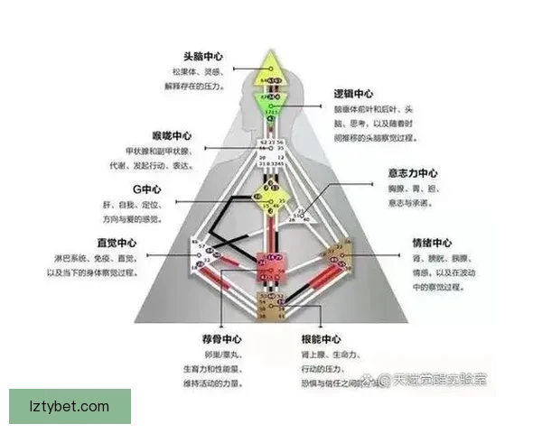 在高压环境中保持冷静以自信高效完成关键任务的能力修炼系统方法
